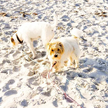 Ocean Eleven Prázdninový dům