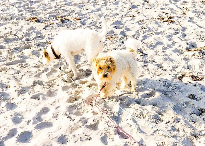 Ocean Eleven Vakantiehuis